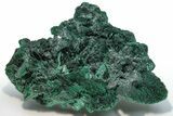 Silky, Fibrous Malachite Cluster - Congo #223978-1